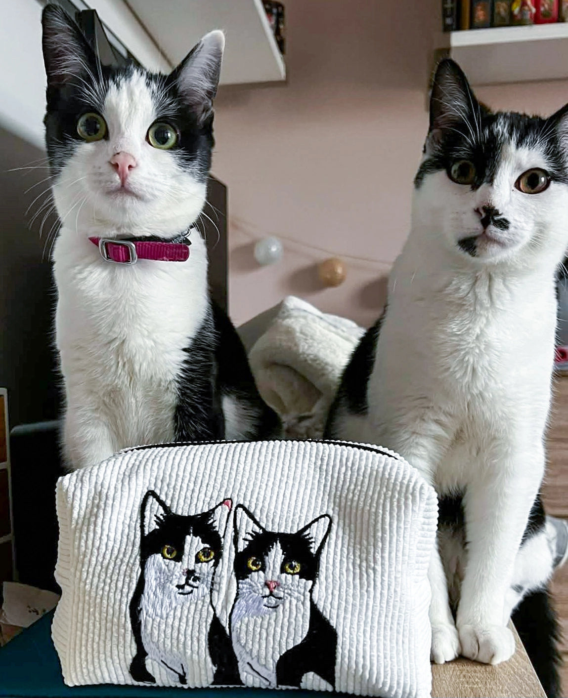 Trousse personnalisée – Animaux